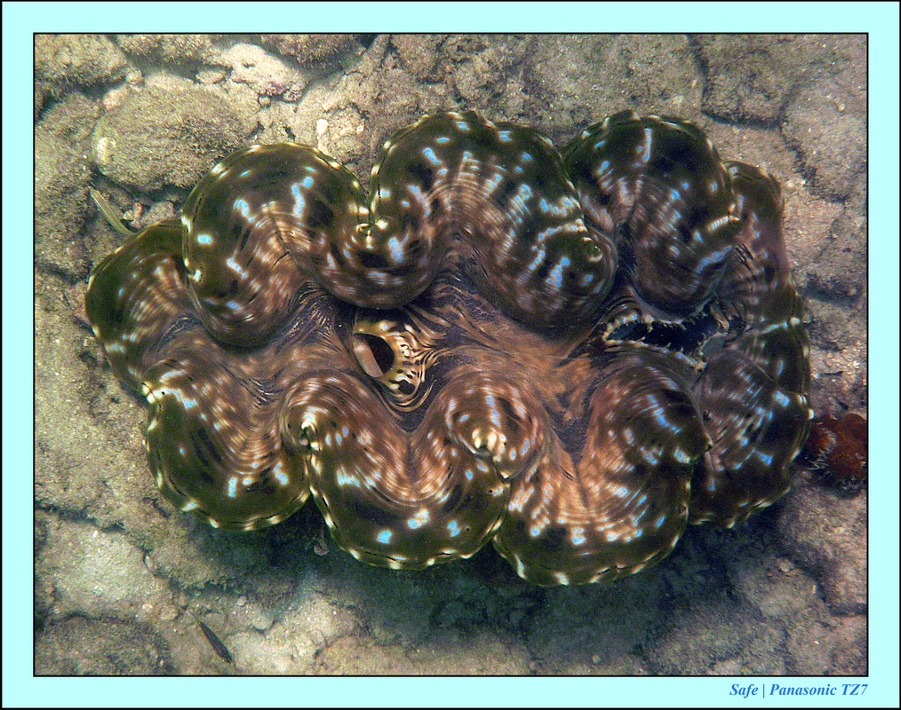 2013 - 01 - Koh Poda 17